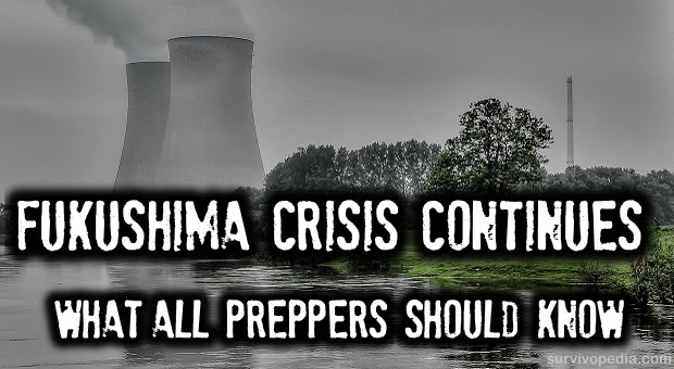 Fukushima Crisis Continues: What All Preppers Should Know