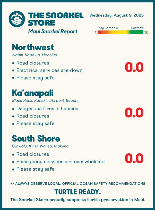 Report Graphic