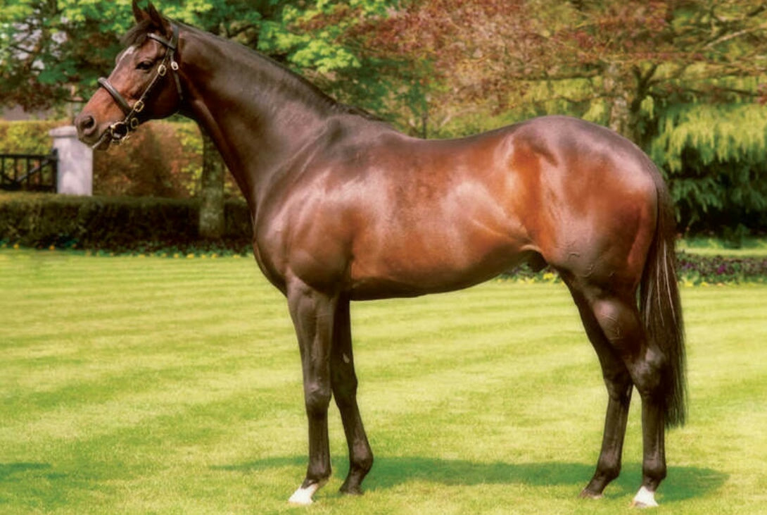 High Chaparral