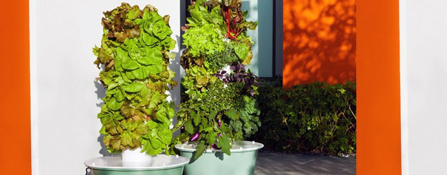 Turn a Small Space Into a Big Harvest  Tower-garden