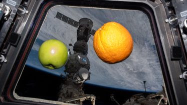 An Apple and an Orange Float Weightlessly in ISS Cupola