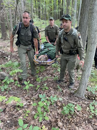 Rangers carrying an injured hiker through the woods
