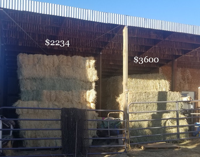 201812 hay purchases