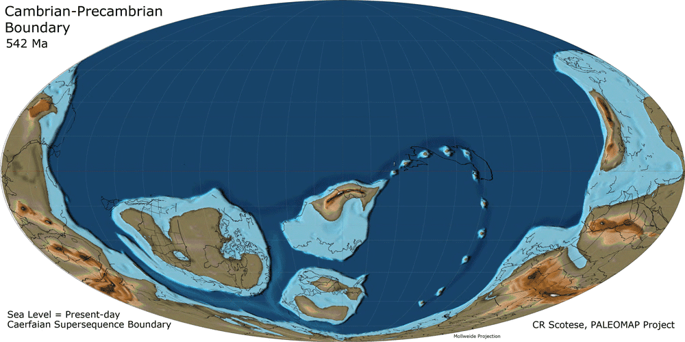 PaleoDEMs: Map the Earth's Changing Topography Over the last 540 Million Years