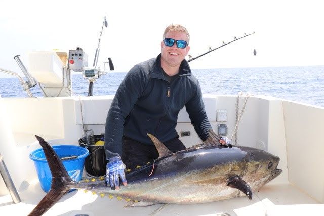 w660_913349_taggingbluefin.jpg