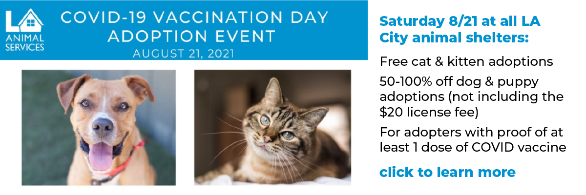 COVID vaccine adoption event LA Animal Services 8-21-2021 click for info