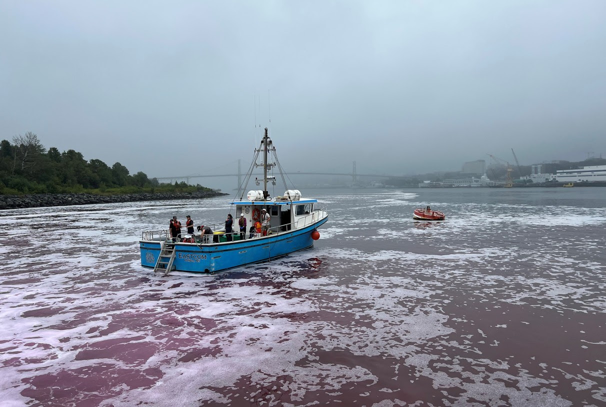 a boat on the water