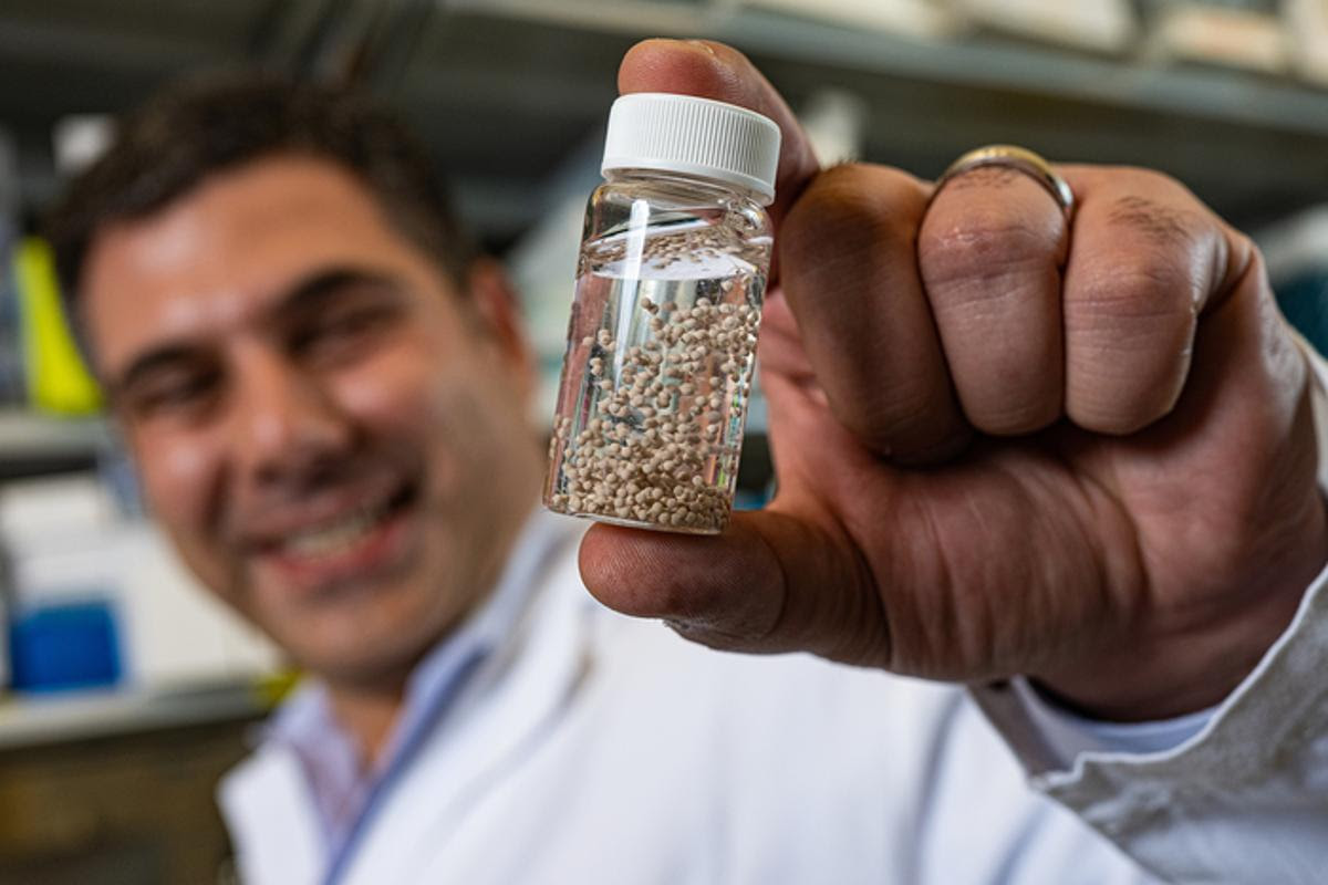 Bioengineer Omid Veiseh with bead-like anti-cancer implants developed at Rice University