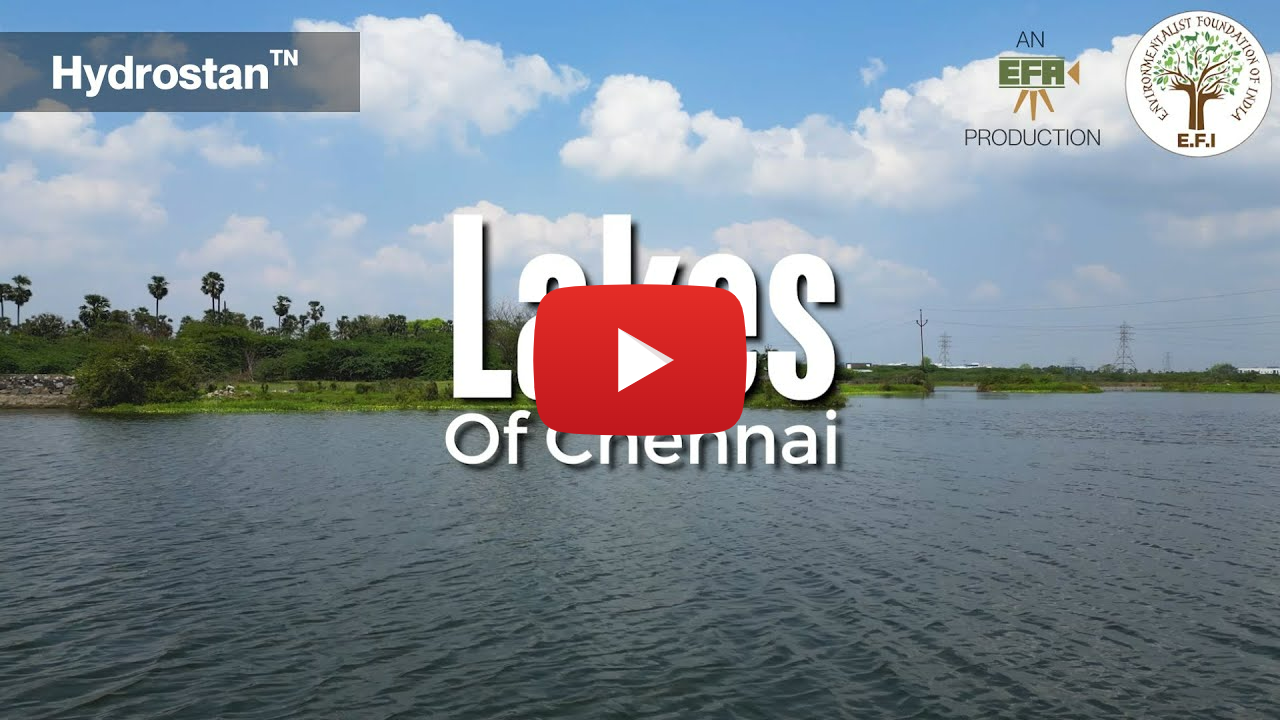 Hydrostan - Lakes of Chennai | Chennai Water Story