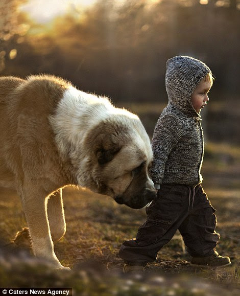 Vanya walks with a dog
