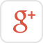 g+