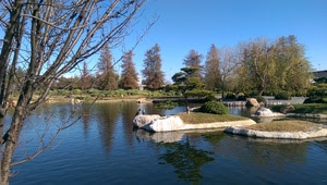 Japanese Gardens at Lake Balboa