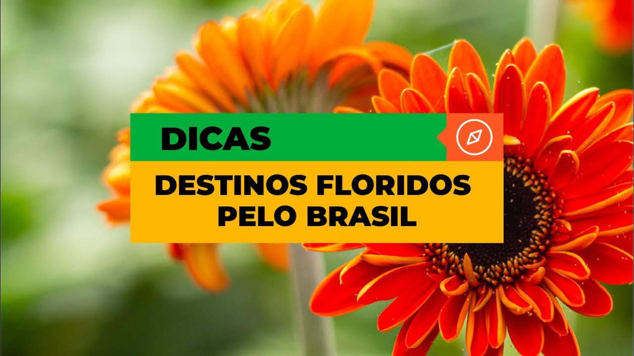 Três lugares no Brasil para visitar durante a primavera