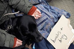 picture of homeless person and a dog
