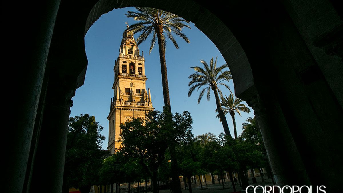 La última sentencia del Algarrobico marca el futuro de la reposición de la celosía en la Mezquita de Córdoba