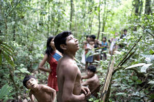 Los awás son una de las últimas tribus de cazadores-recolectores nómadas que quedan en la Amazonia. Dependen de la selva para sobrevivir.