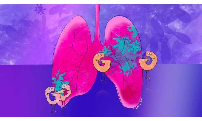 Blocking sugar metabolism slows lung tumour growth