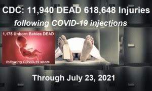 CDC/VAERS Stats thru 7/23/21 CDC-VAERS-COVID-Shot-Deaths-7.23-300x180-1