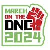 DNC protest image