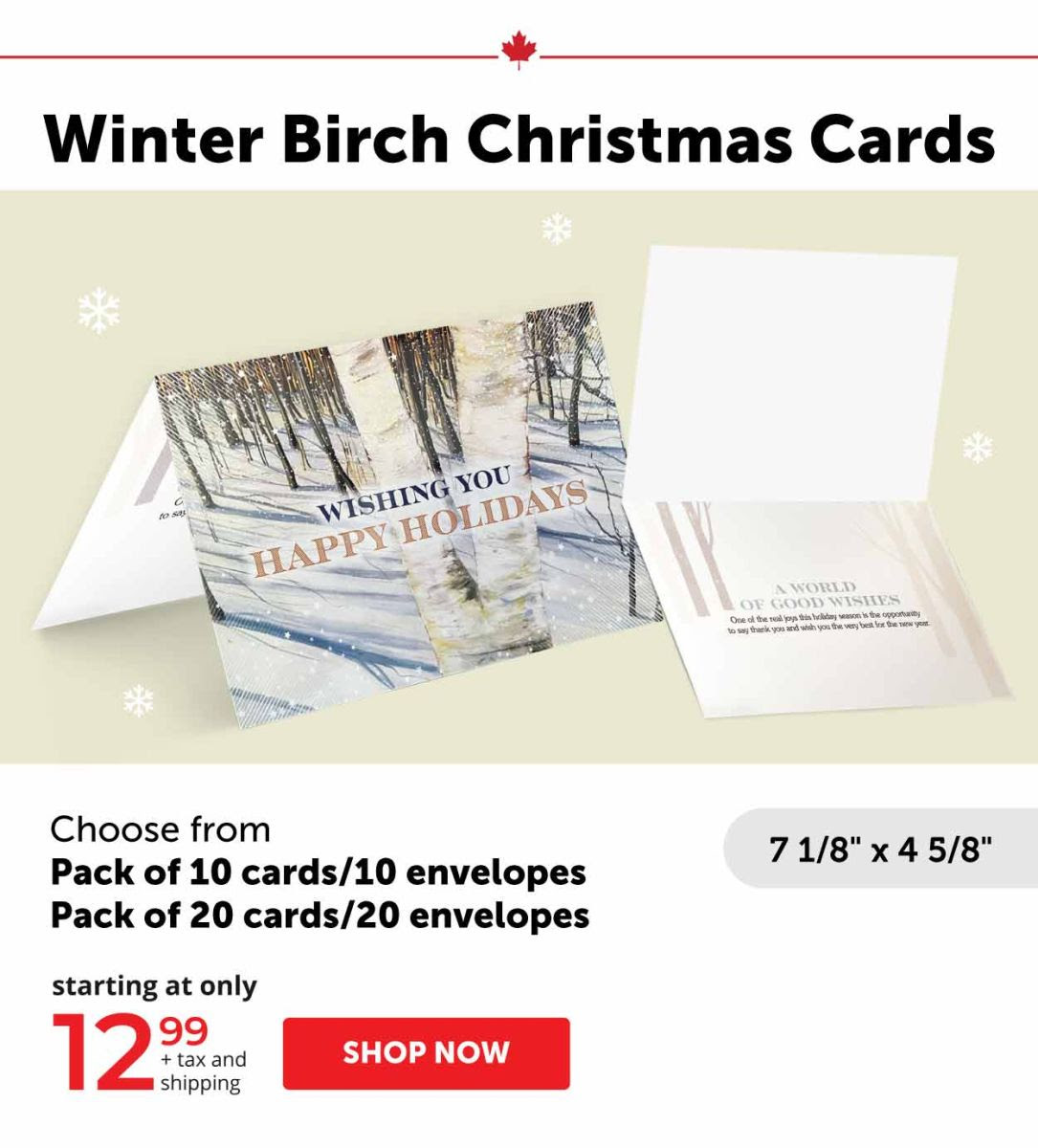 Winter Birch Christmas Cards
