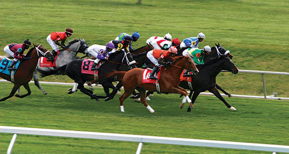 Keeneland apr 2014 media