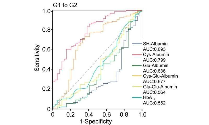 Cysteinylated albumin: A new early diagnostic marker for diabetic kidney disease