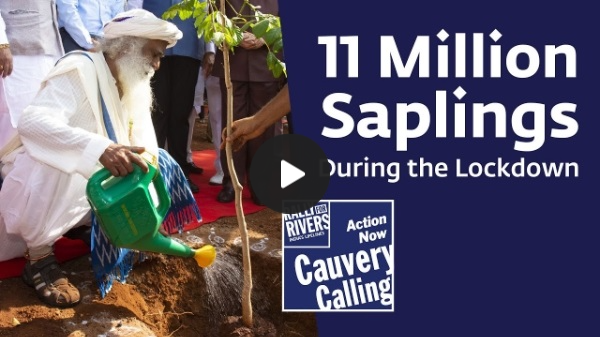 Cauvery Calling: First Year Update from the Ground