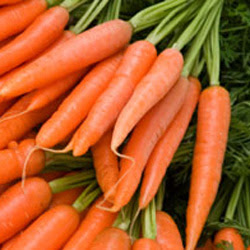 Carrots Website Dr Weil