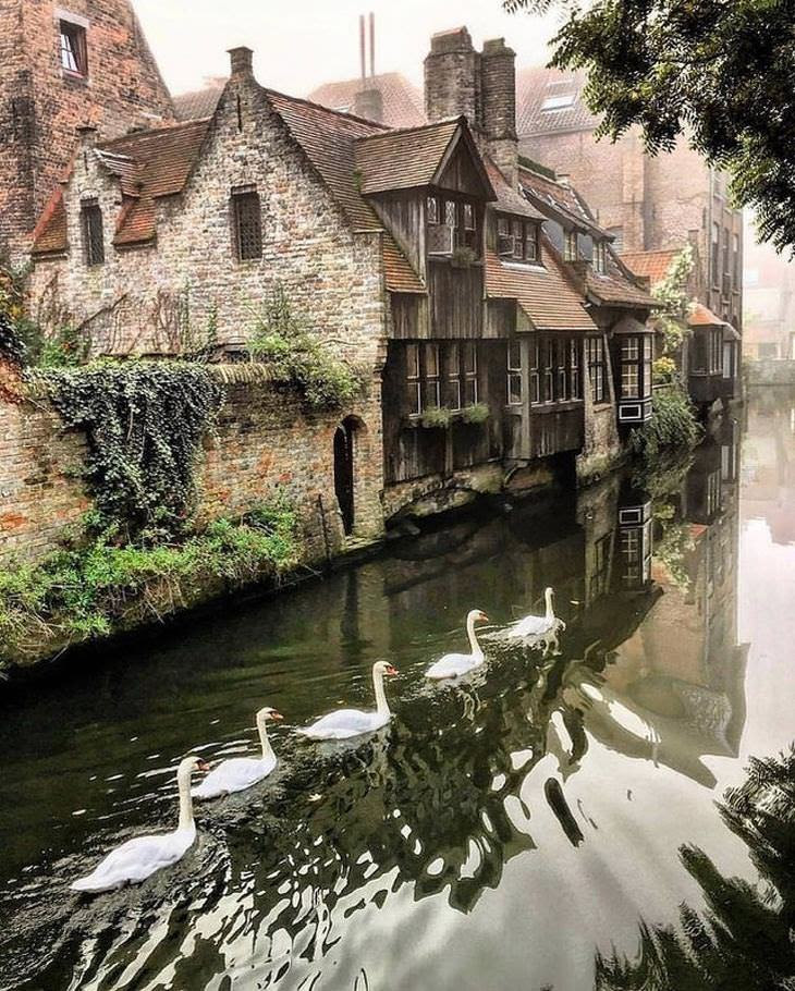 Photos that look like art