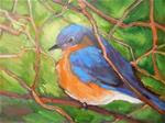 Wildlife Painting, Bird Painting, Daily Painting, Small Oil Painting, "Bluebird" by Carol Schiff, 6x - Posted on Monday, March 16, 2015 by Carol Schiff