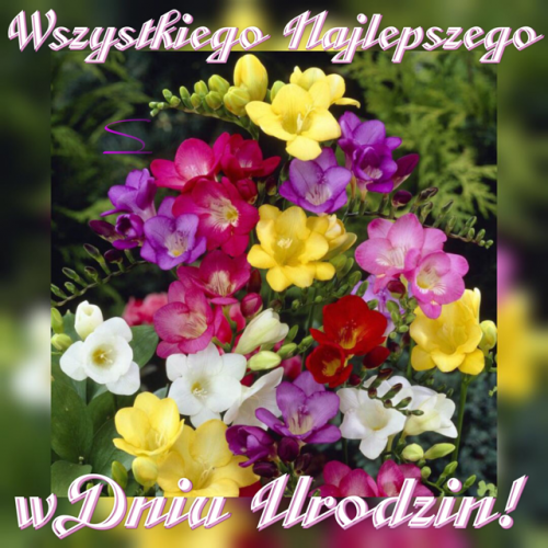Szczęścia Zdrowia Powodzenia i Marzeń Spełnienia!