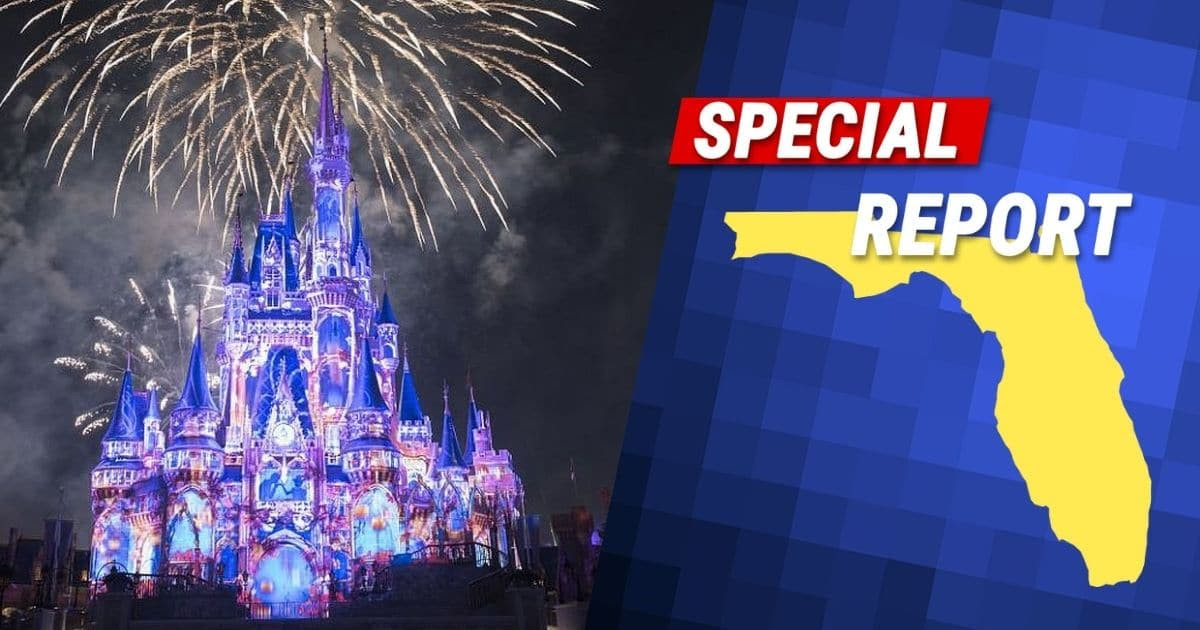 After MSM Spreads Big Lie About Disney - Ron DeSantis Quickly Sets the Record Straight