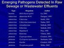 Emerging Pathogens In Wastewater