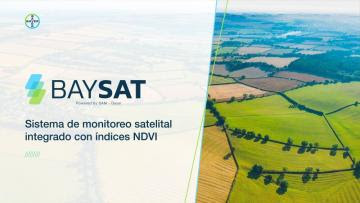 “Baysat” busca ayudar a mejorar productividad agrícola correlacionando índices de NDVI y rendimientos