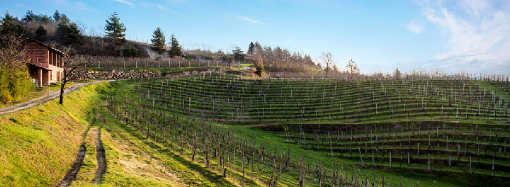 Colline Novaresi