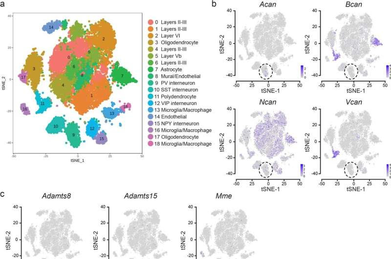 Mimicking brain plasticity in children to control post-traumatic stress