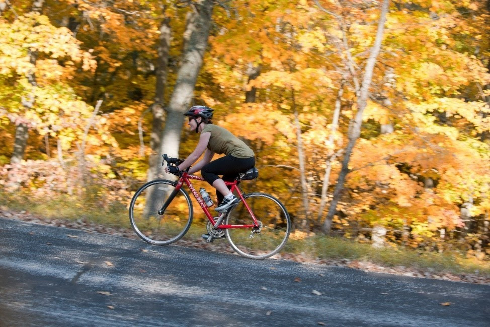 A bicyclist in side profile bikes up hill. Fall foliage covers the trees behind the cyclist. 