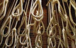 Hanging Ropes