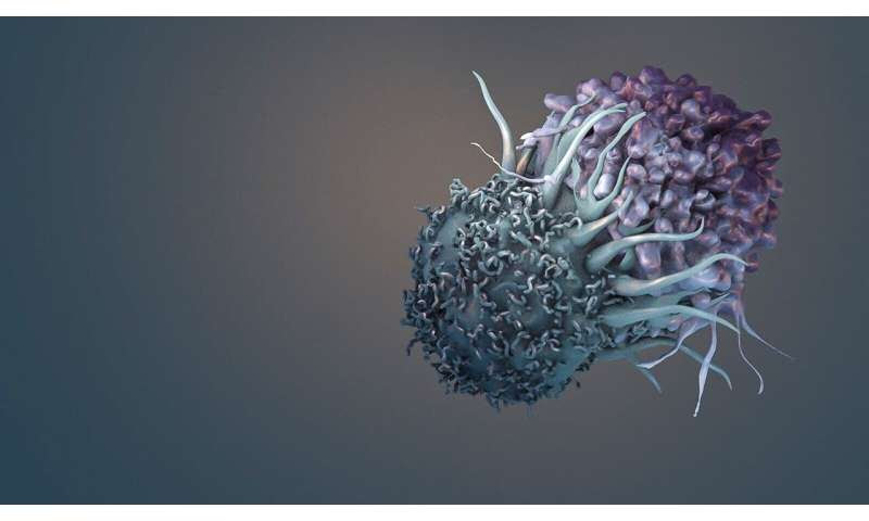 Computing empowers immune cells to kill cancer