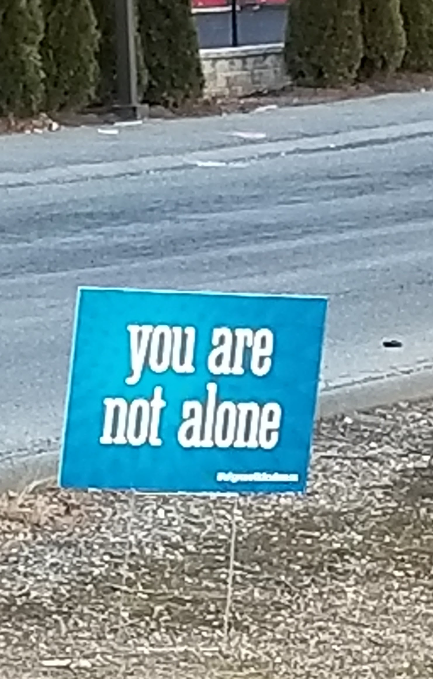 You are not alone sign