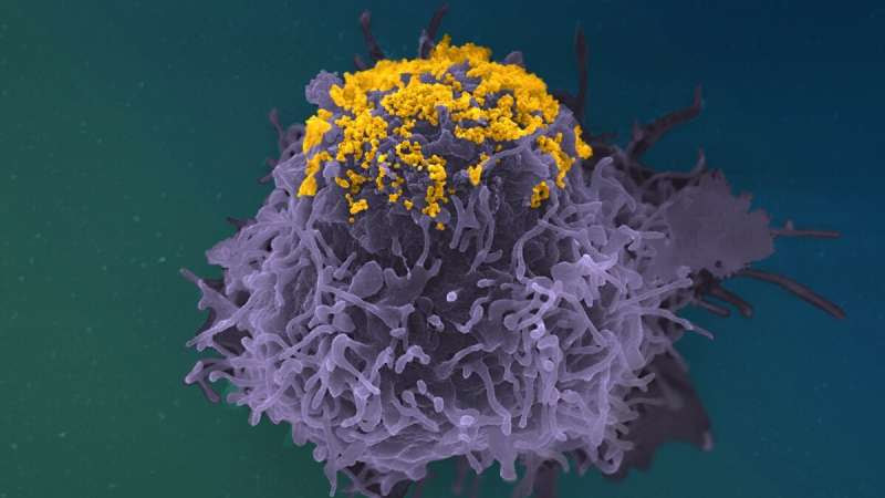 New anti-HIV antibody function discovered: tethering of viral particles at the surface of cells