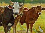 Three Cows - Posted on Monday, January 5, 2015 by Taryn Day