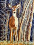 Deer on the Side of the Road - Posted on Monday, March 9, 2015 by Elaine Shortall