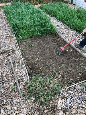 preparing to plant your cover