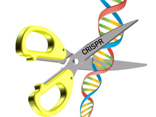 Genome editing reproductive option