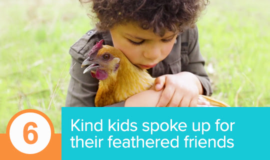 Kind kids around the country spoke up for their feathered friends