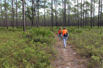 Florida National Scenic Trail hikers by Doug Alderson