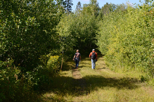 GEMS are hunter walking trails for all abilities