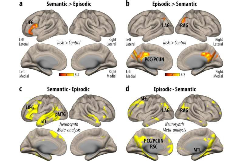 New study showing how the brain retrieves facts and personal experiences may help people with memory disorders