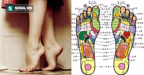 Kiễng gót chân: Bài tập mang lại 10 tác dụng chữa bệnh hiệu quả - Ảnh 4.